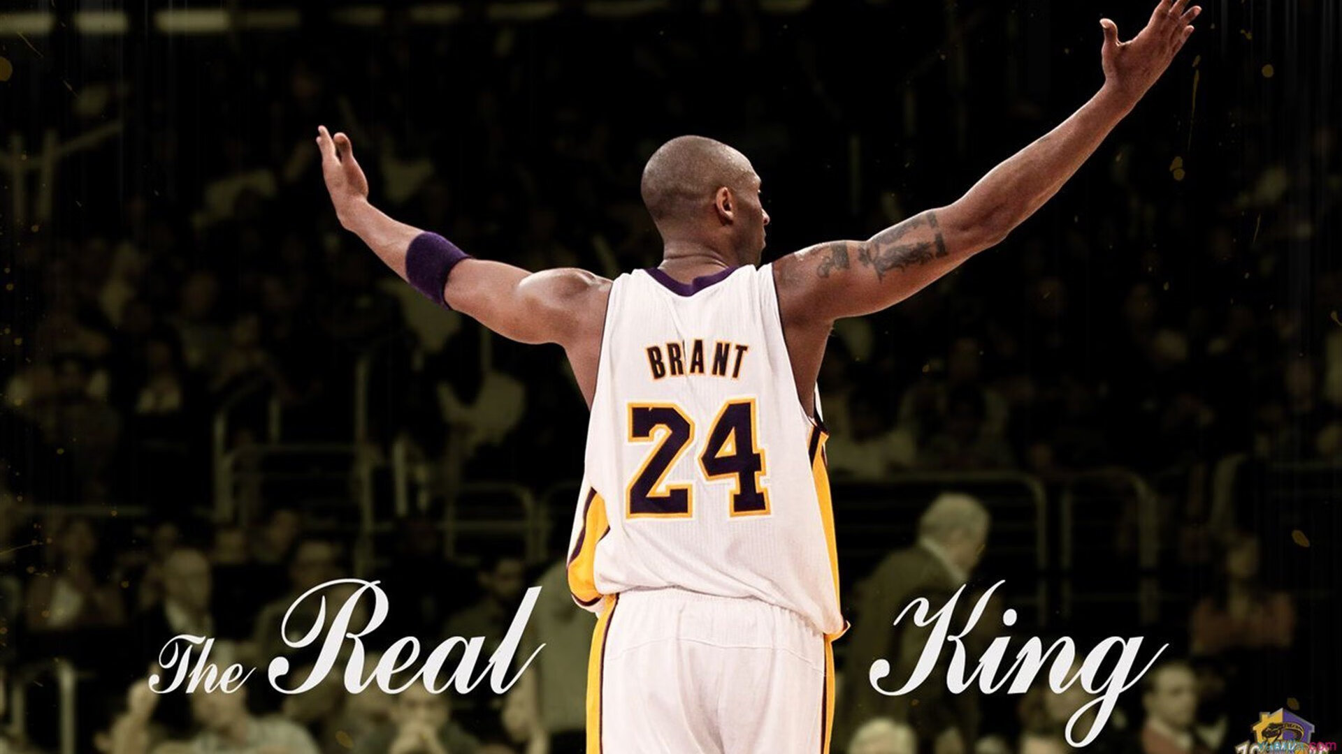 “冠军潜力股崭露头角,打造本赛季最爆款赛事”,冠军赛区